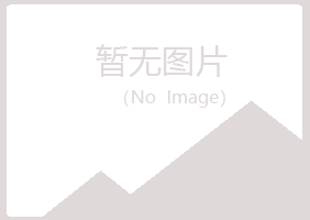 黑河夏岚计算机有限公司